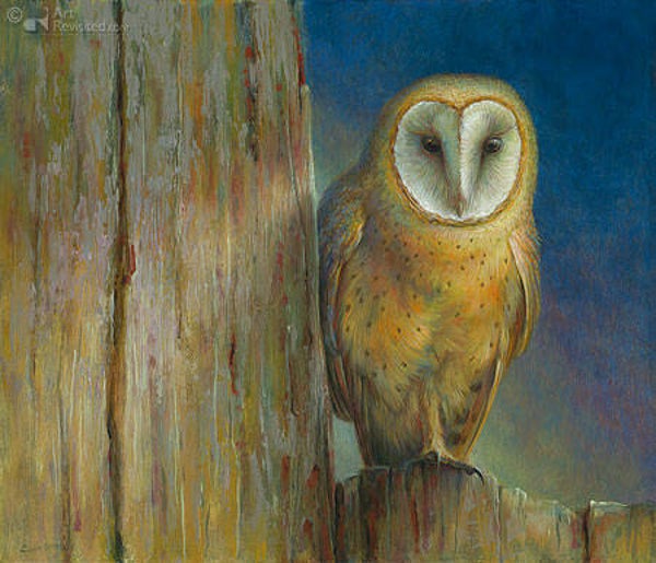 Erik van Ommen, Kerkuil