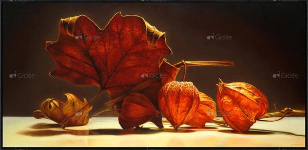 Jan van 't Hoff, Bladder cherry