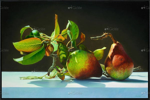 Jan van 't Hoff, Pears