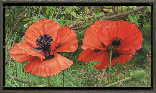 Volte Face - Giclée - Joke Frima