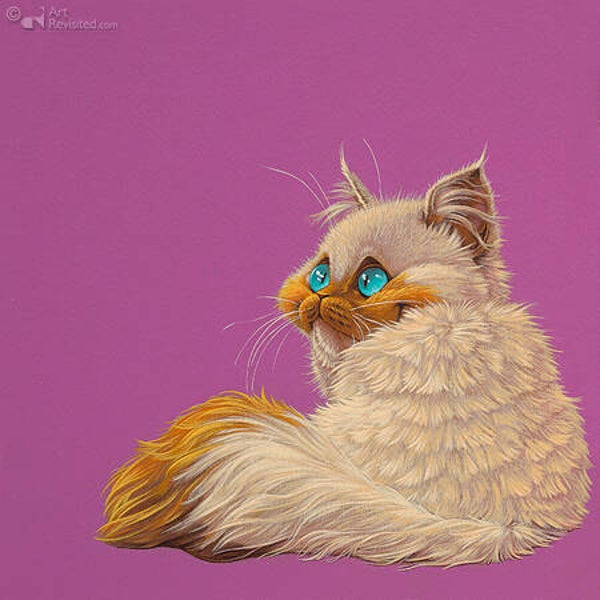 Jasper Oostland, Bibi