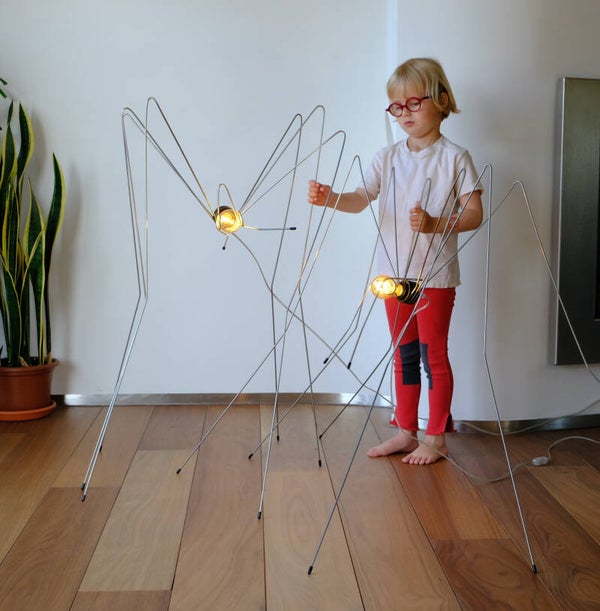 Gerard Schoone, Big Bug