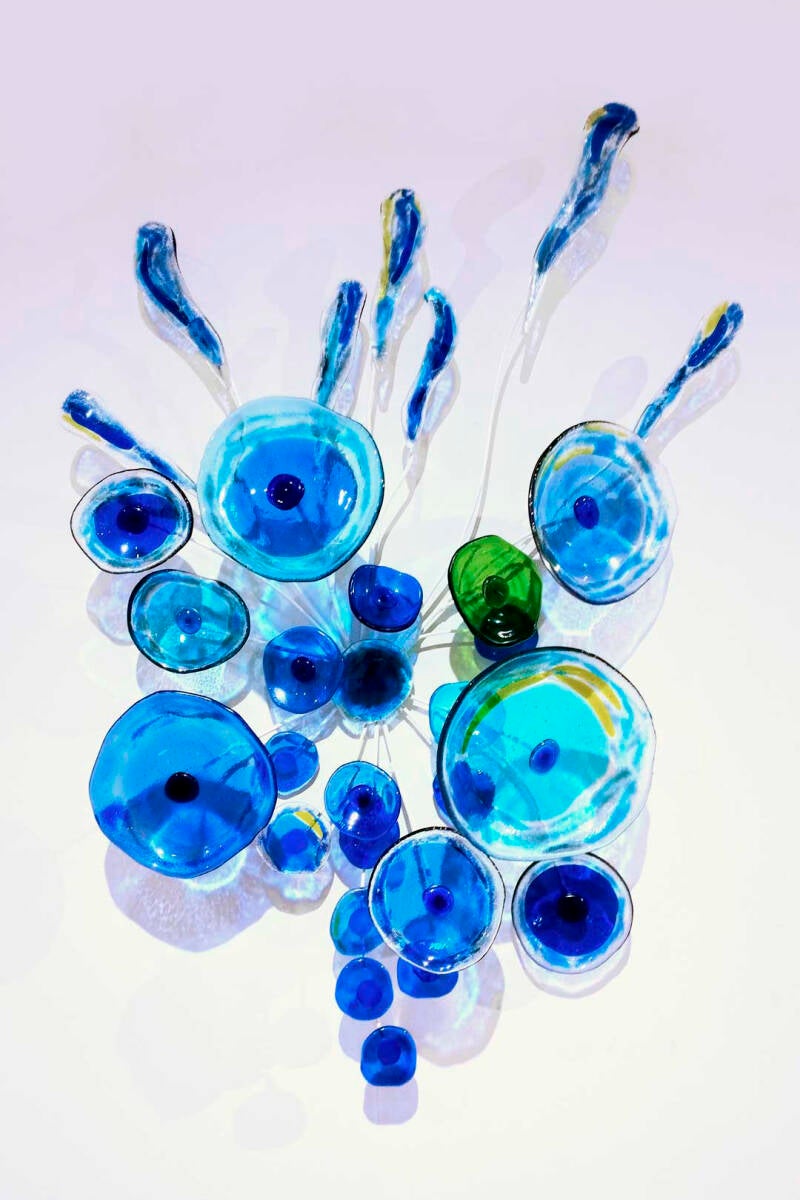 flores-caerulei-wegwijzer-standard.jpg