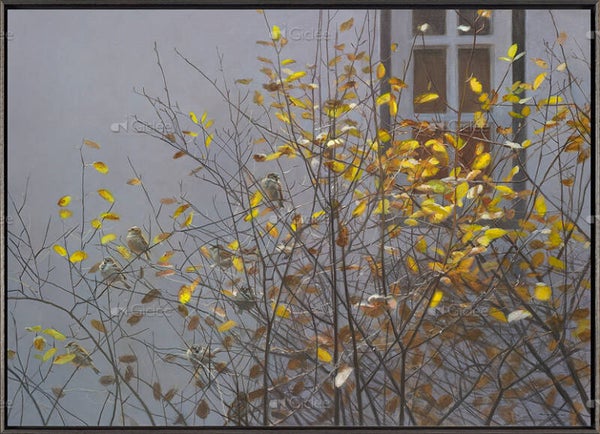 Elwin van der Kolk - Huismussen