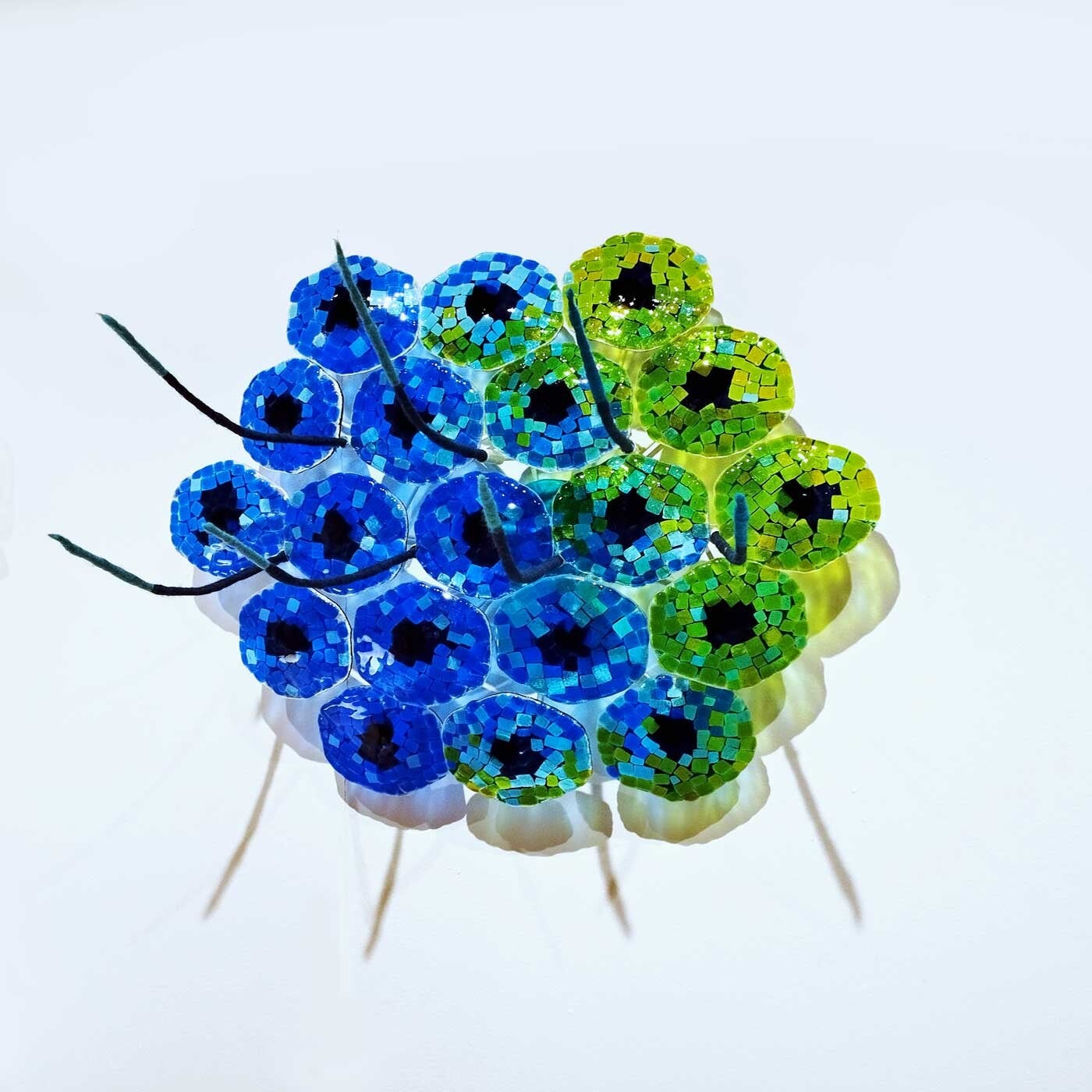 Lia Koster- Insectenogen