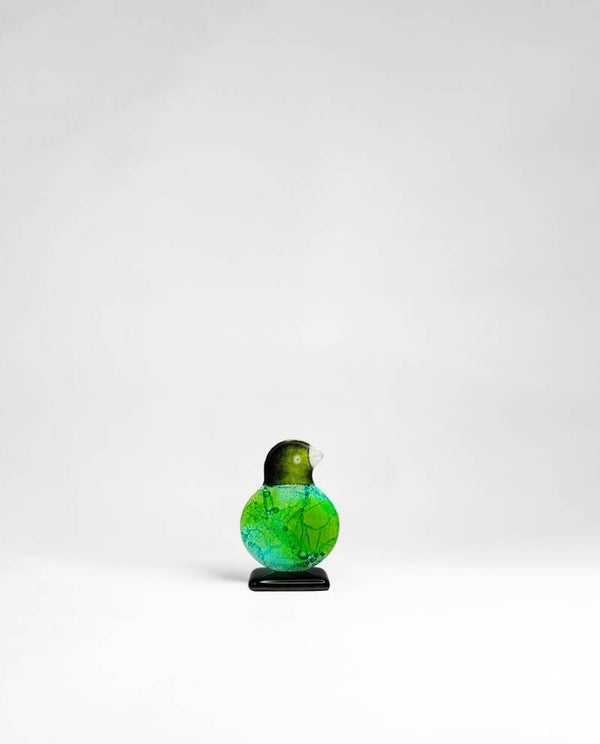 Kiwi, mini, in 5 kleuren verkrijgbaar, Habrat