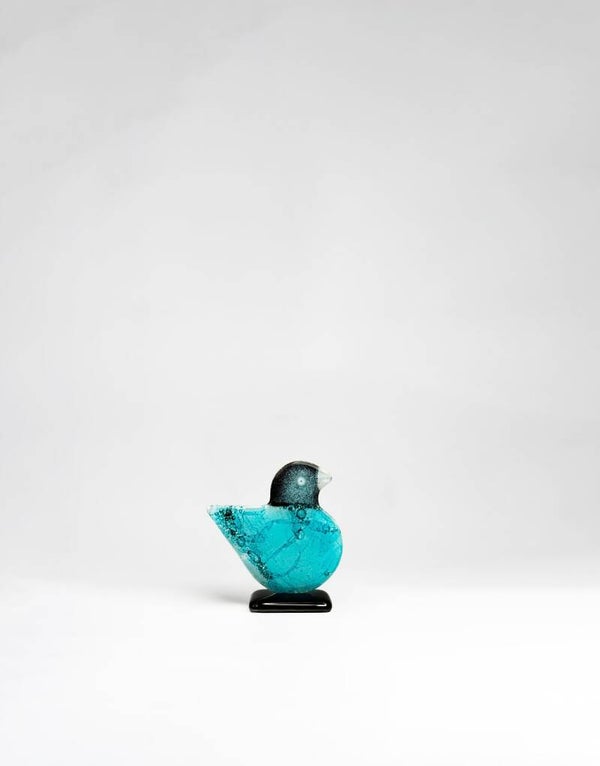 Kiwi, small, in 5 kleuren verkrijgbaar, Habrat