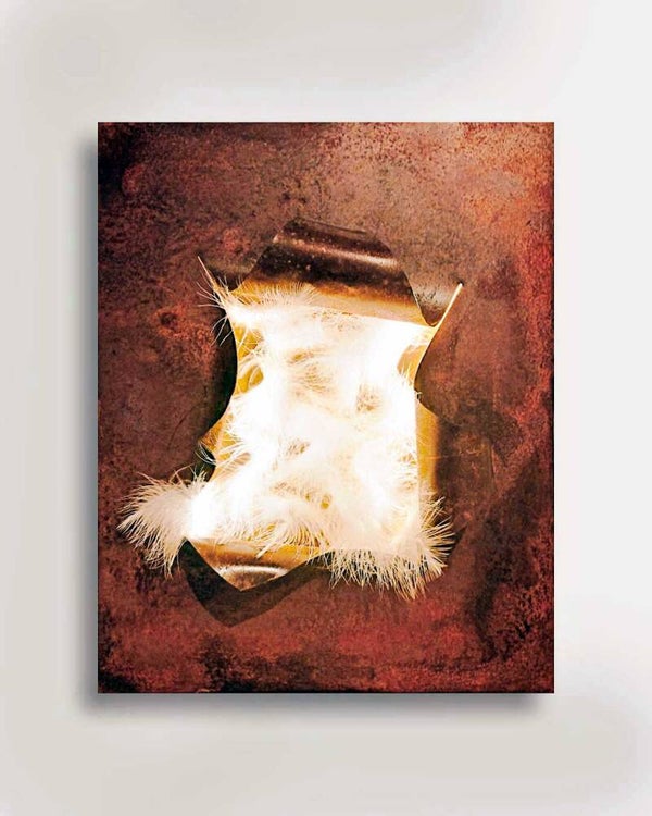 Torn strong soft - Gerard Schoone