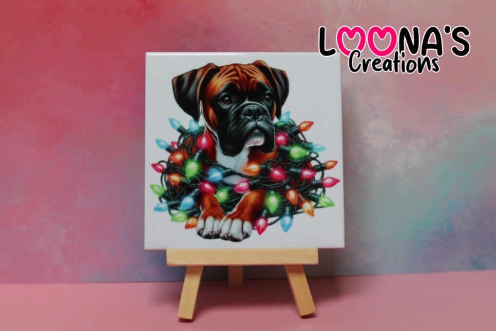 Tegel - Boxer kerst 2