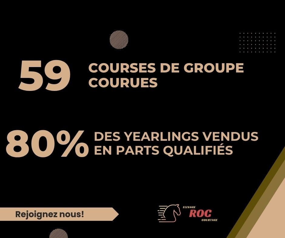 chevaux qualifiés, vendu en part, course de groupe