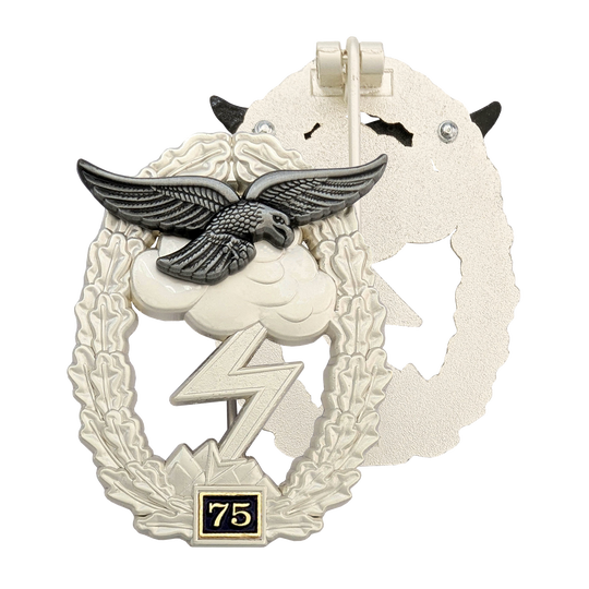 Erdkampfabzeichen (mit Einsatzzahl 75)