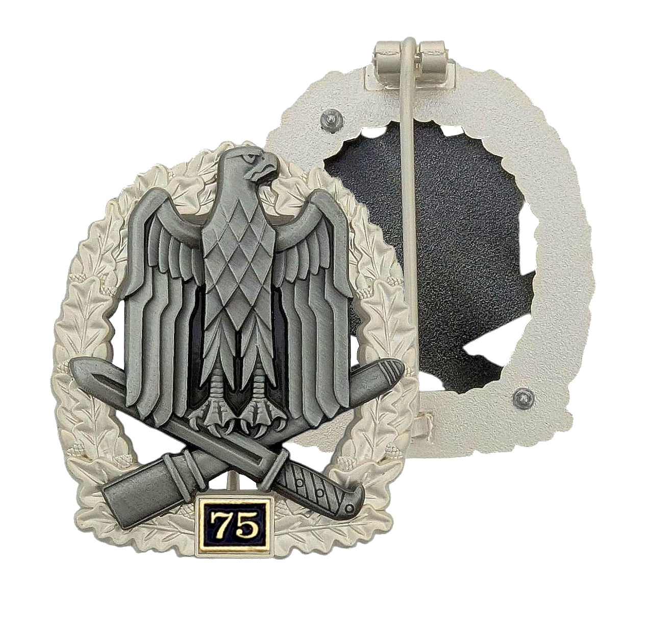 Allgemeines Sturmabzeichen mit Einsatzzahl 75