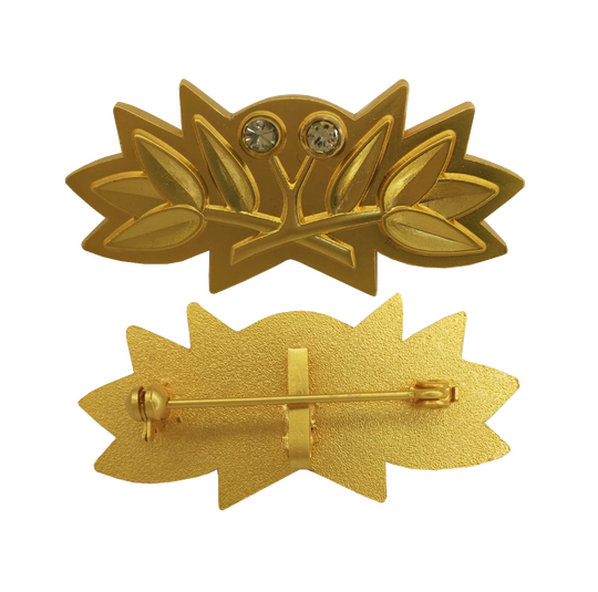 Ehrenspange Vaterländischer Verdienstorden