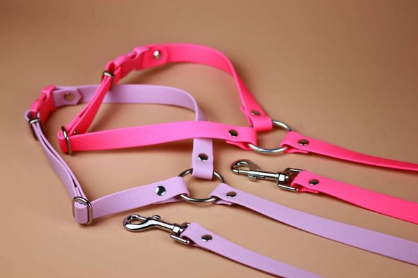 Ceinture de sécurité