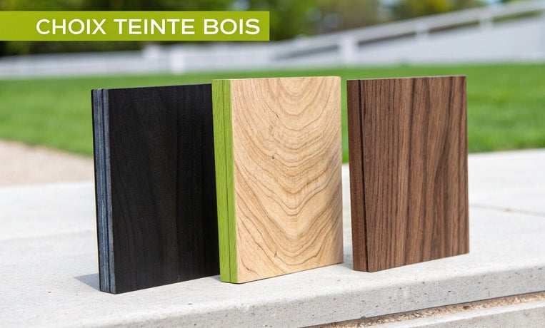 chois de teinture