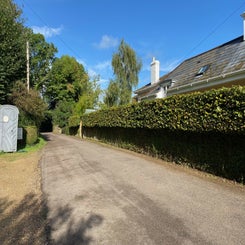 beech-hedge-standard-s198f4.jpg