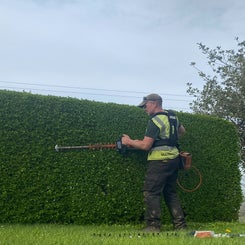dirk-hedge-cuttin-standard.jpg