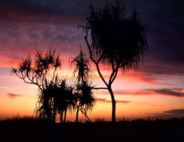 Gun Point - Northern Territory Australia