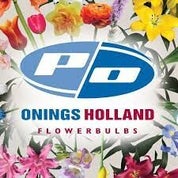 po-standard.jpg