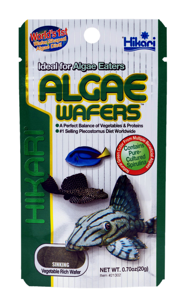 HIKARI ALGAE WAFERS 20 GRAM