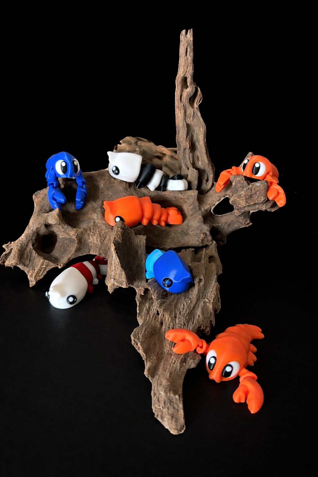 Fidget Toy Shrimps & Kreeftjes