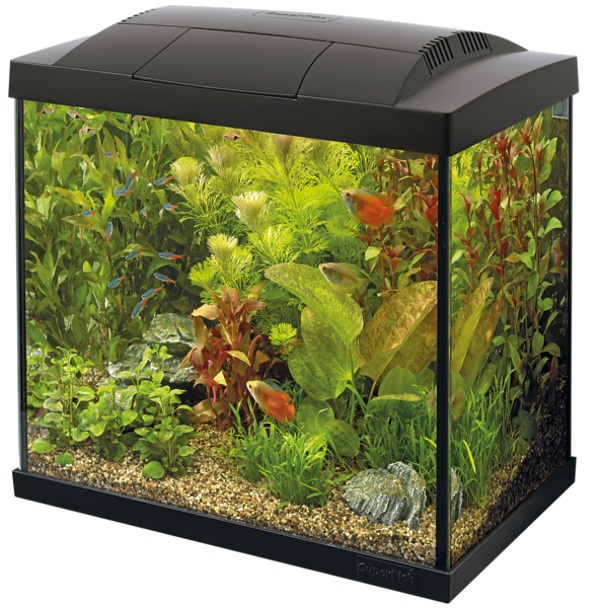 Superfish Aquarium