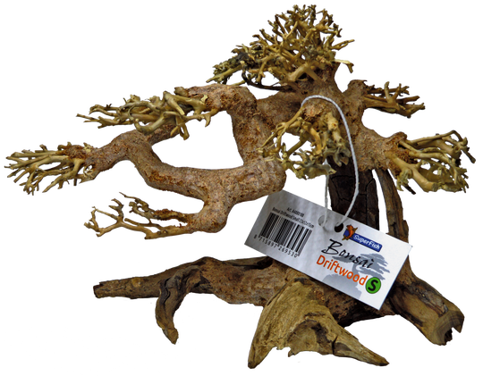 PacuM 4 stuks houten aquarium landschap driedimensionaal houten aquarium kan worden ondergedompeld, decoratieve houten stammen transparante textuur natuurlijke vorm voor vissen garnalen schildpadden PacuM 4 stuks houten aquarium landschap driedimensionaal houten aquarium kan worden ondergedompeld, decoratieve houten stammen transparante textuur natuurlijke vorm voor vissen garnalen schildpadden
