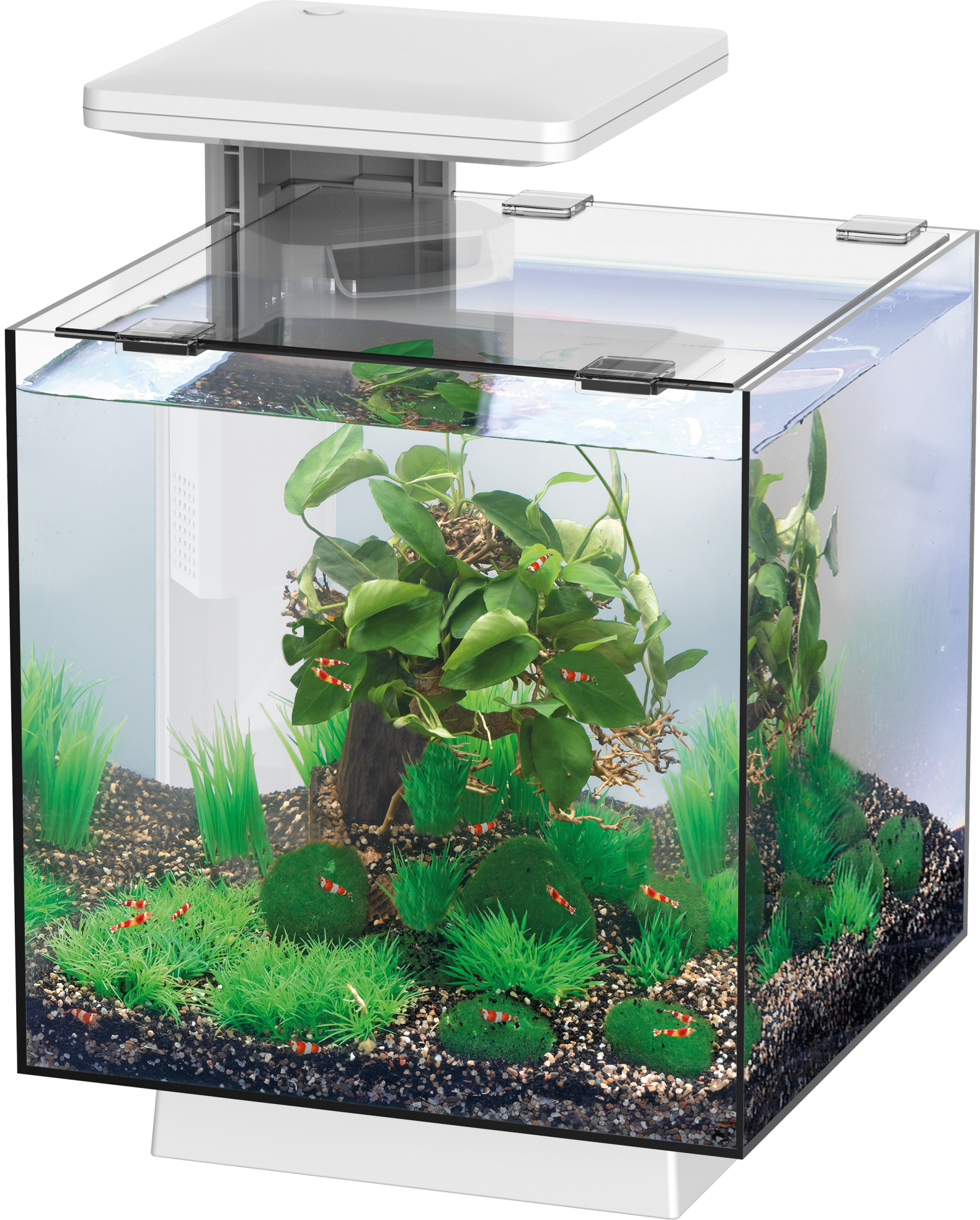 Superfish QubiQ Aquarium