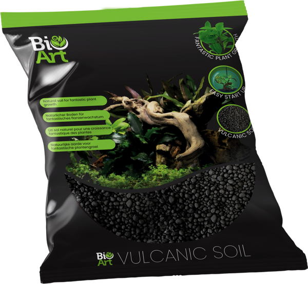 BIOART VULCANIC SOIL ZAK 800 GRAM
