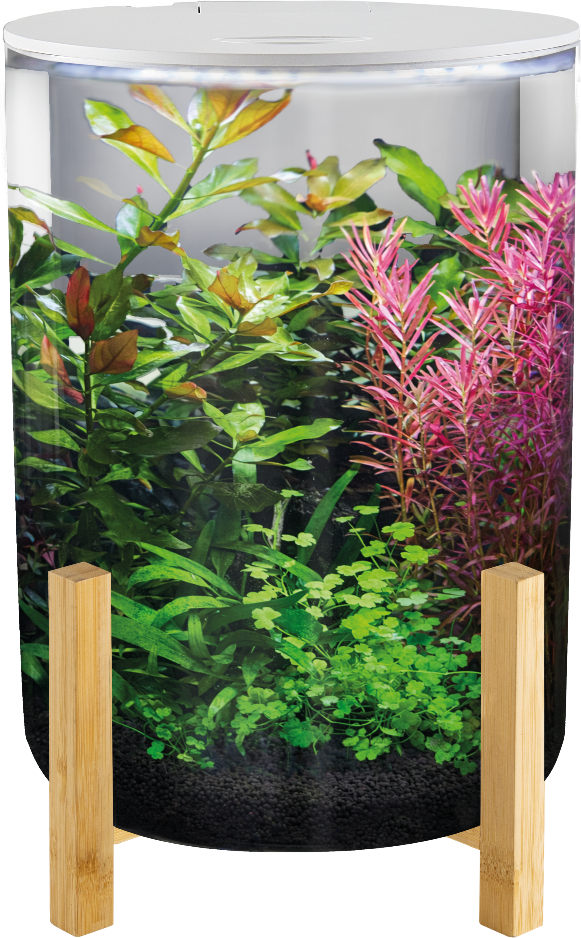 Superfish Orbiq 11   Design Cilinder Aquarium op Bamboe Basis