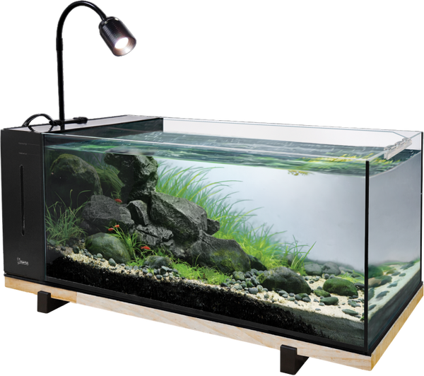 Superfish River Aquarium 60