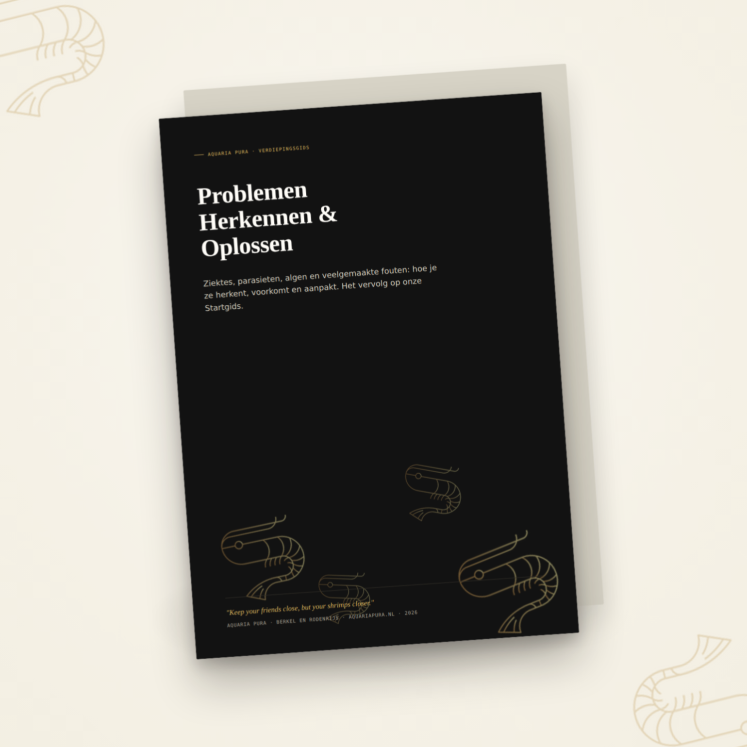 Verdiepingsgids: Problemen Herkennen en Oplossen (NL)