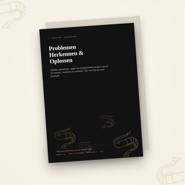 Verdiepingsgids: Problemen Herkennen en Oplossen (NL)