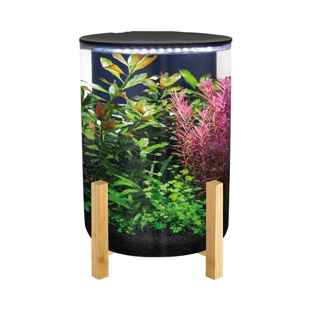 Superfish Orbiq 11   Design Cilinder Aquarium op Bamboe Basis