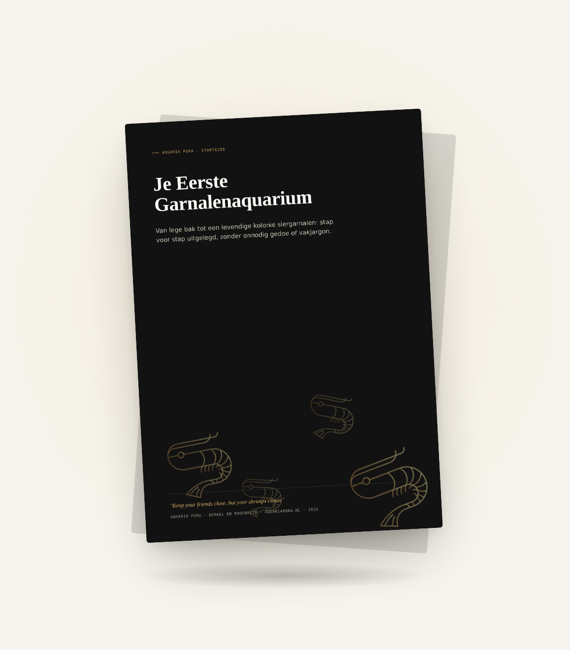 Startgids: Je Eerste Garnalenaquarium (NL)
