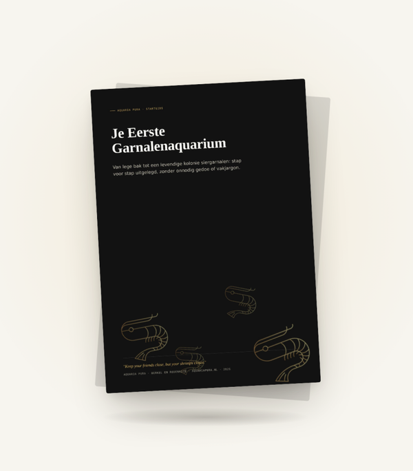 Startgids: Je Eerste Garnalenaquarium (NL)