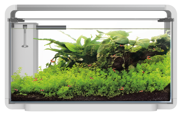 SUPERFISH HOME PROLED 30