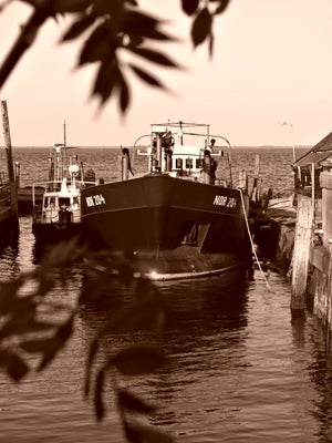 boot-nor-204-standard.jpg