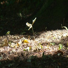 dsc00082-standard.jpg