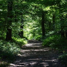 dsc06479-standard.jpg