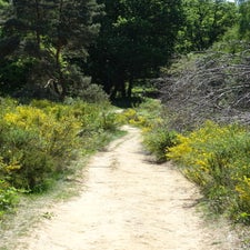 dsc06486-standard.jpg