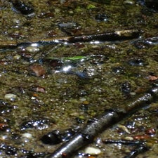dsc06490-standard.jpg