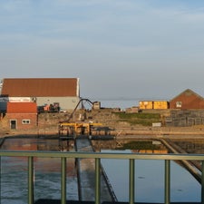 p1030413-standard.jpg
