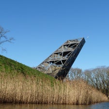 p1030540-standard.jpg