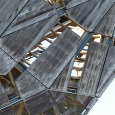 p1030543-standard.jpg