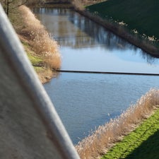 p1030547-standard.jpg