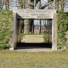 p1030566-standard.jpg