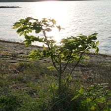 p1040488-standard.jpg