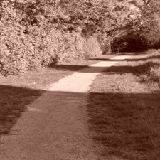 p1040529-standard-dyob6l.jpg