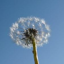 p1040540-standard.jpg